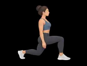 Bodyweight split squats exercise demonstration